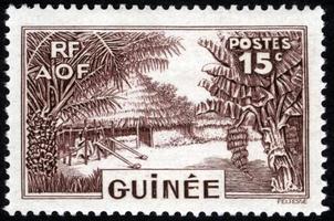 sello postal de la república de guinea. sello histórico de la república de guinea. un sello postal impreso en la república de guinea. foto