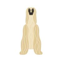 Dog breed Afghan Hound. Vector illustration of a vintage pet