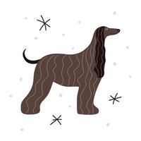 perro de raza sabueso afgano. ilustración vectorial de una mascota vintage vector
