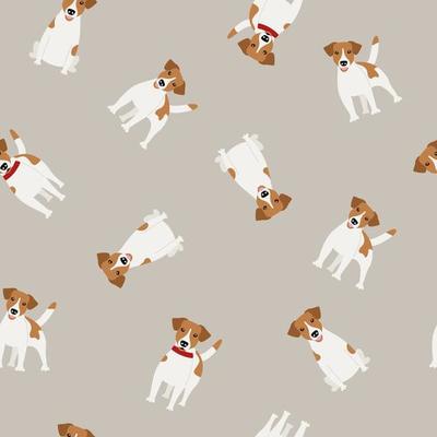 Purebred Jack Russell Terrier dog 4741752 Vector Art at Vecteezy