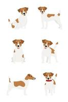 Conjunto de poses de la raza de perro Jack Russell Terrier sobre un fondo blanco. vector