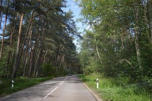 Landscape with the road to the Curonian spit, Kaliningrad region. photo