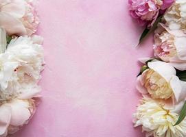 Background with pink peonies photo