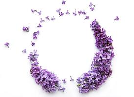 Frame of branches and flowers of lilac in the shape of a cicle photo