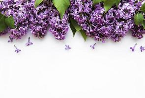 Lilac in flat style on white background. Beautiful spring. Overhead view. Flat lay, top. Summer season. Natural spring style. photo