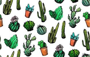 dibujados a mano cactus aislados de patrones sin fisuras vector