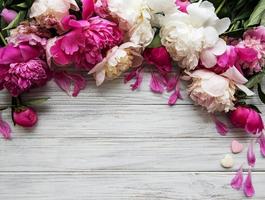 Background with pink peonies photo