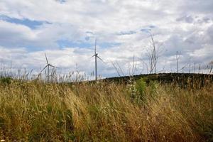 earth sky and windmills photo