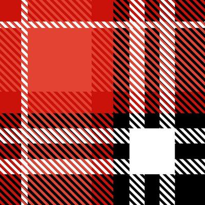Buffalo Plaid Textured Seamless Background