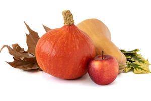 Closeup shot of pumpkins and apple on white background photo