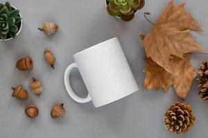 Mockup of a white mug and acorns on white background