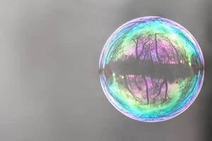 Lonely Colorful Soap Bubble with Reflection of Trees and Sky Inside It photo