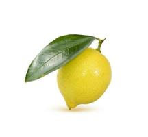 Lemon isolated on white background photo