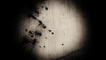 scary dark cement for the background. walls full of stains and scratches photo