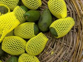 Fresh Organic Fruit Avocado photo