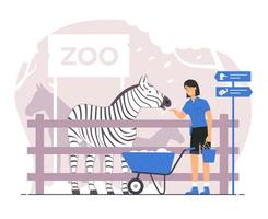 cuidador del zoológico sosteniendo el balde y alimentando a la cebra vector