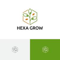 hexágono crecer planta semilla naturaleza agricultura logo vector