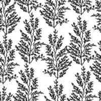 Vector seamless background with hand drawn illustration of herbs, or plants black on white field. Can be used for wallpaper, pattern fills, web page, surface textures, textile print, wrapping paper