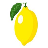 Vector cartoon fresh lemon fruit.