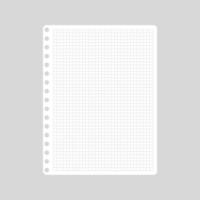 Vector cartoon blank sheets of sqared notebook.