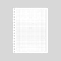 Vector cartoon blank sheets of sqared notebook.