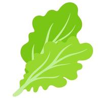 Vector cartoon fresh green salad vegetable.