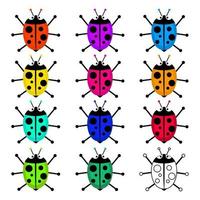 Colorful Ladybug Beetle Set vector