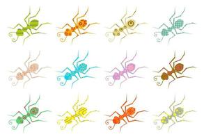 Collection of Patterned Silhouette Garden Ants vector