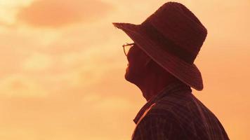 Silhouette des Senior-Bauers, der im Reisfeld steht. video