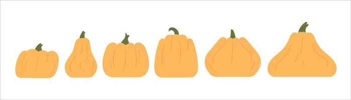 Set of Various Pumpkin shape on white background. Vector Illustration.