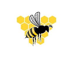 Hexagonal bee hive with flying bee inside vector