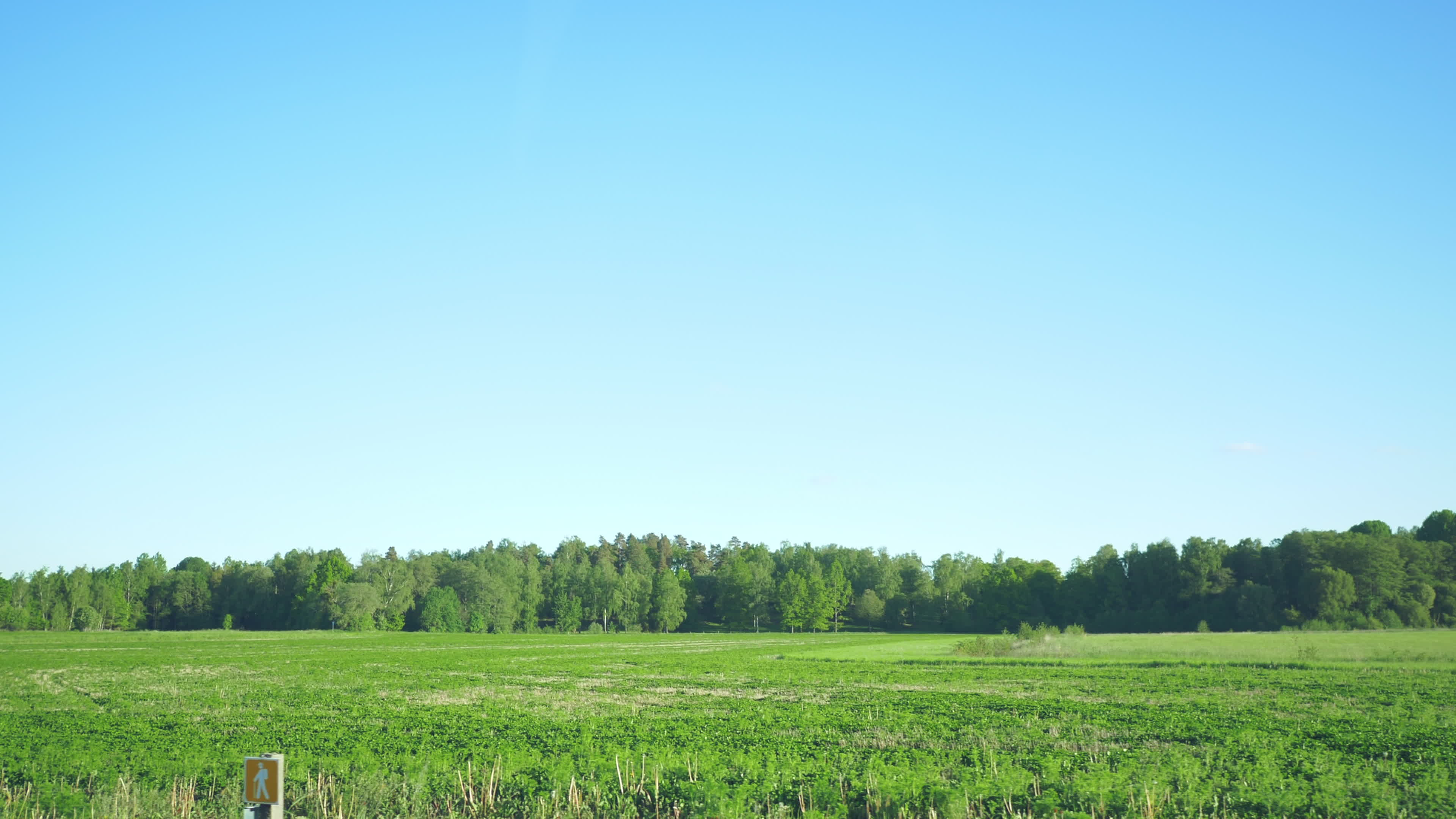 Road Side View Stock Video Footage for Free Download