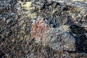 2021 08 13 Myvatn lava rock photo