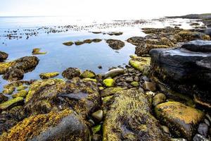 2021 08 13 Tjornes algae await the tide 1 photo