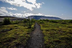 2021 08 13 Myvatn trail and volcano photo