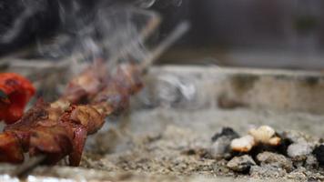 Viande traditionnelle turque de shish kebab sur un feu de charbon de barbecue video