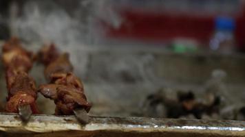 Shish kebab turco tradicional carne en un fuego de carbón de barbacoa video