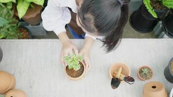 Top view of happy Asian women are looking at a small tree small in a flowerpot. Girl decorating plants for sale and being proud of her plants decorating. Gardener working house plant. Enjoy working