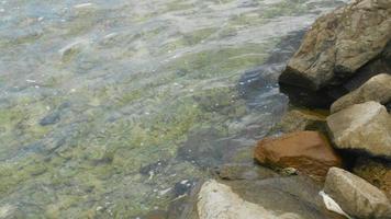 Sea waves lash line impact rock on the beach. photo