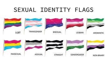 conjunto de banderas de orgullo de identidad sexual vector