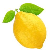 Un limón entero aislado sobre un fondo blanco. foto