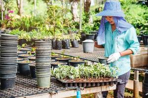 cultivo de plantas de plántulas trabajadora agrícola en flores de jardín está plantando plantas para bebés jóvenes growdling. foto