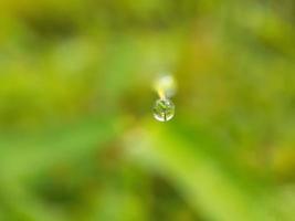 Primer plano de una gota de agua en la hoja foto