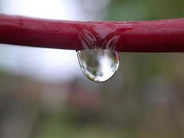 Closeup of water droplets on leaf, blur background photo