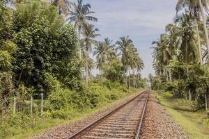 Train tracks in Sri Lanka. Tropical landscape. photo