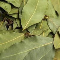 pile dry laurel leaves photo