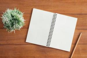 Minimal work space - Creative flat lay photo of workspace desk. Office desk wooden table background with open mock up notebooks and pens and plant. Top view with copy space, flat lay photography.