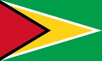 vector de bandera de guyana