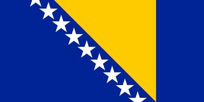 Bosnia and Herzegovina Flag Vector