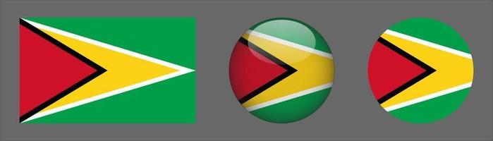 Guyana Flag Set Collection, Original Size Ratio, 3d Rounded and Flat Rounded vector